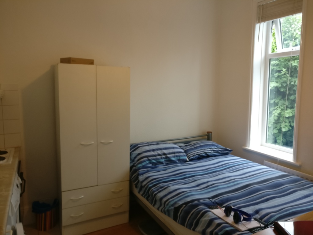 Double Studio near Tube